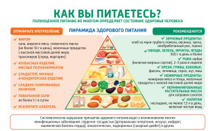 С 20 по 26 октября 2025 года Неделя популяризации потребления овощей и фруктов
